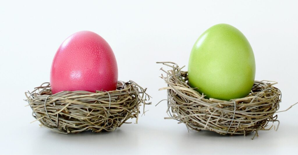 Two eggs inside a straw nest is in the frame - the egg on the left is pink and the egg on the right is a lime green.